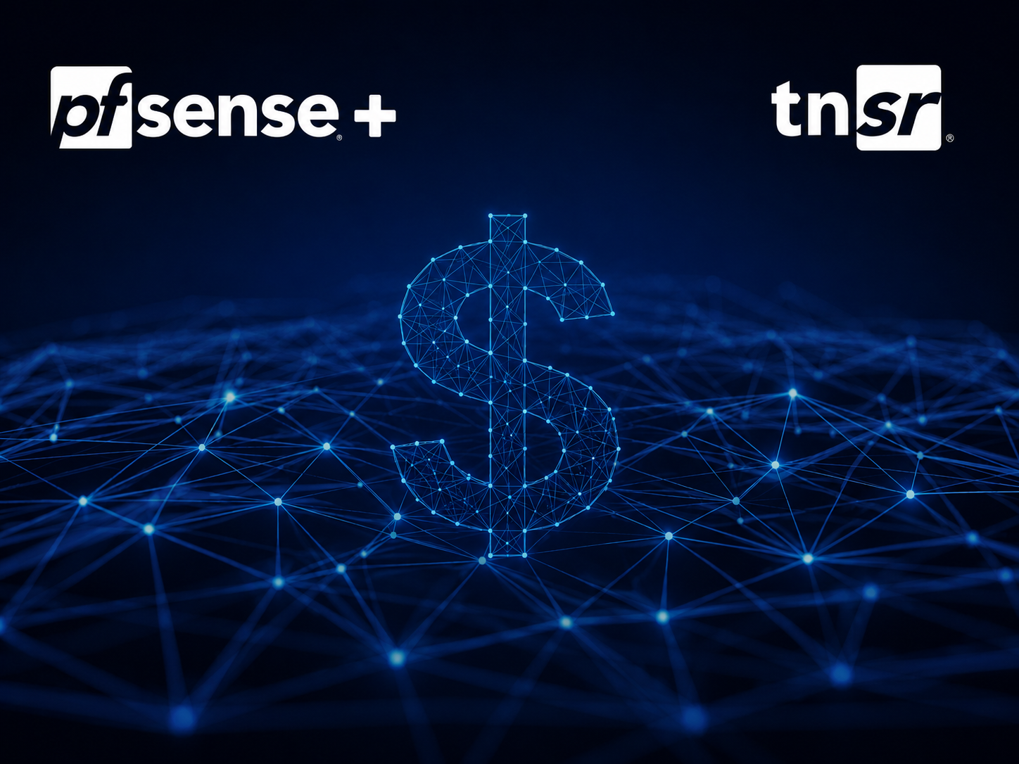 save-costs-netgate