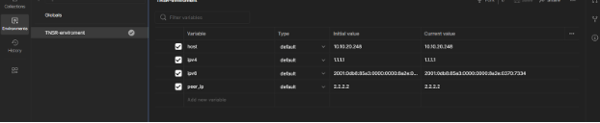 postman_TNSR_environment