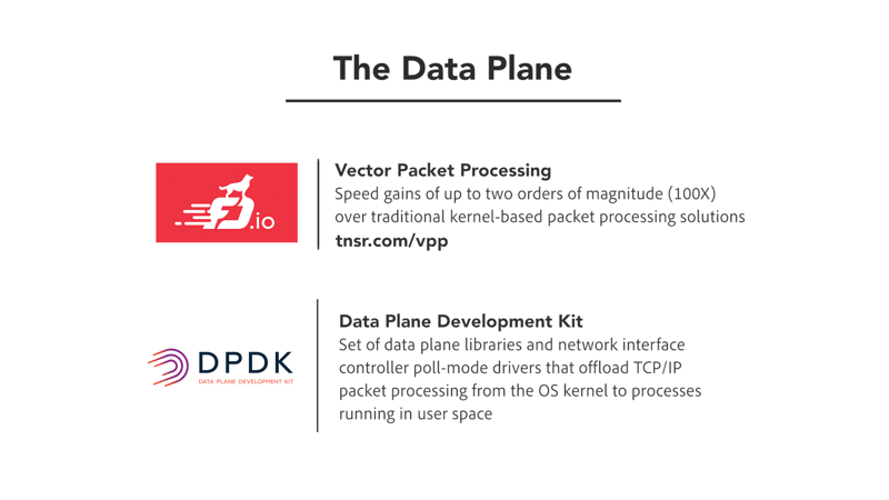 The Data Plane