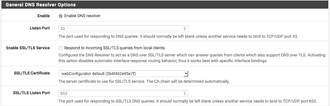 DNS Resolver Options