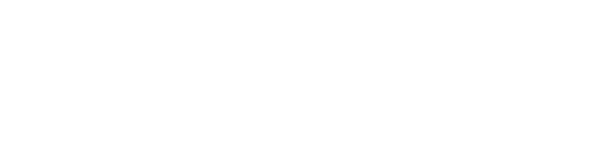 pfSense plus logo