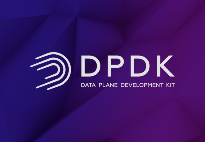Understanding the Role of DPDK in TNSR
